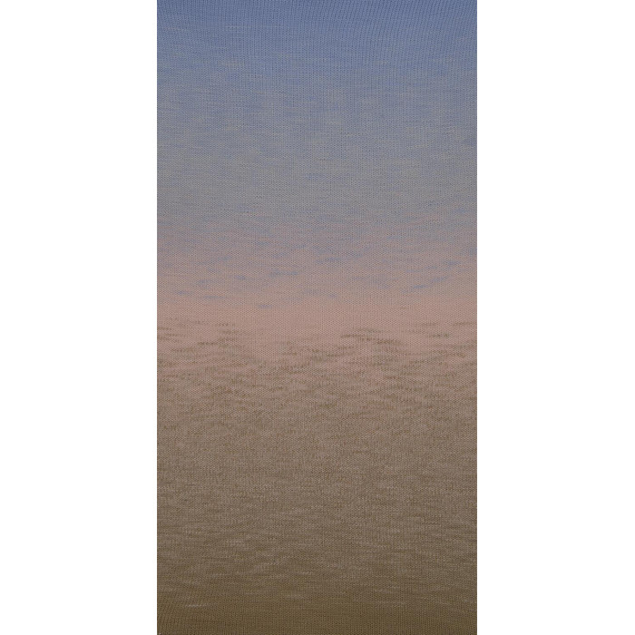 404 Пряжа Laines du Nord Poema, 150г - 600м, різнокольоровий, 100% вовна