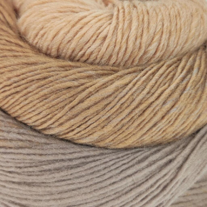 406 Пряжа Laines du Nord Poema, 150г - 600м, різнокольоровий, 100% вовна