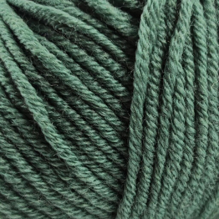 410 Пряжа Laines du Nord Dolly 125, 50г - 125м, полин, 100% вовна