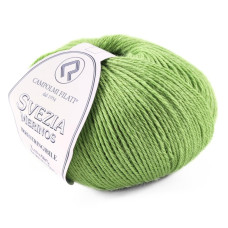 448 Пряжа Campolmi Filati Svezia, 100г - 250м, зелений, 50% вовна, 50% акрил