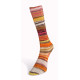 5 Пряжа Laines du Nord Eclectic Sock, 100г - 420м, різнокольоровий, 75% вовна, 25% нейлон