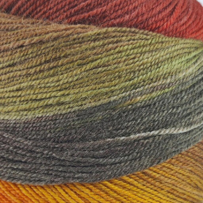 5 Пряжа Laines du Nord Harmonious Sock, 100г - 420м, різнокольоровий, 75% вовна, 25% нейлон