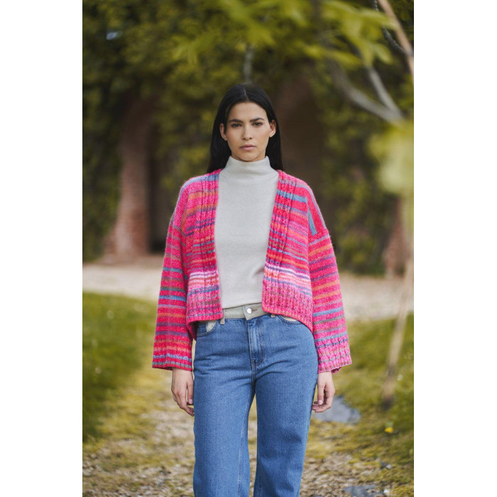 5 Пряжа Laines du Nord Poema Stripes, 150г - 450м, різнокольоровий, 100% вовна