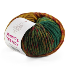 5 Пряжа Laines du Nord Young Trendy, 80г - 100м, різнокольоровий, 100% вовна