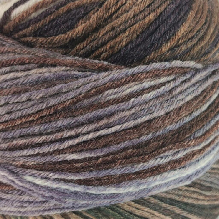 5 Пряжа шкарпеткова Laines du Nord Paint Sock 6 PLY,150г - 400м, різнокольоровий, 75% вовна, 25% нейлон