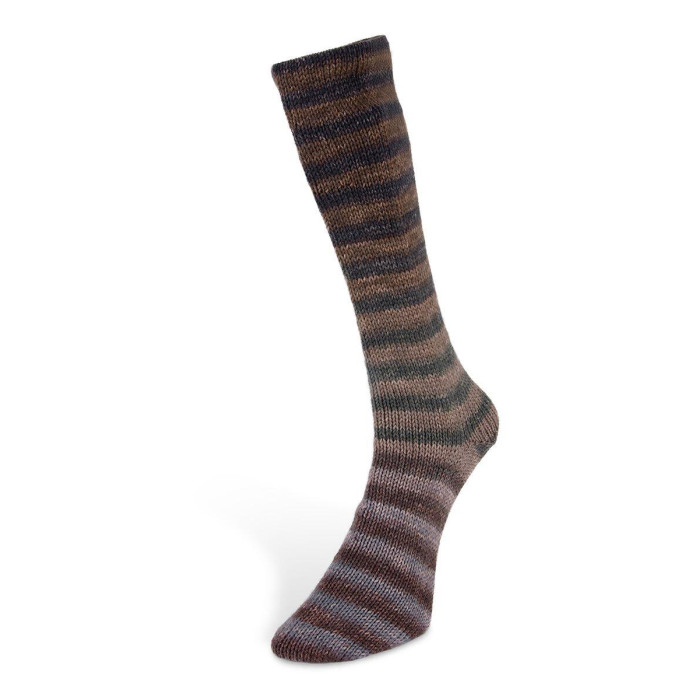 5 Пряжа шкарпеткова Laines du Nord Paint Sock 6 PLY,150г - 400м, різнокольоровий, 75% вовна, 25% нейлон