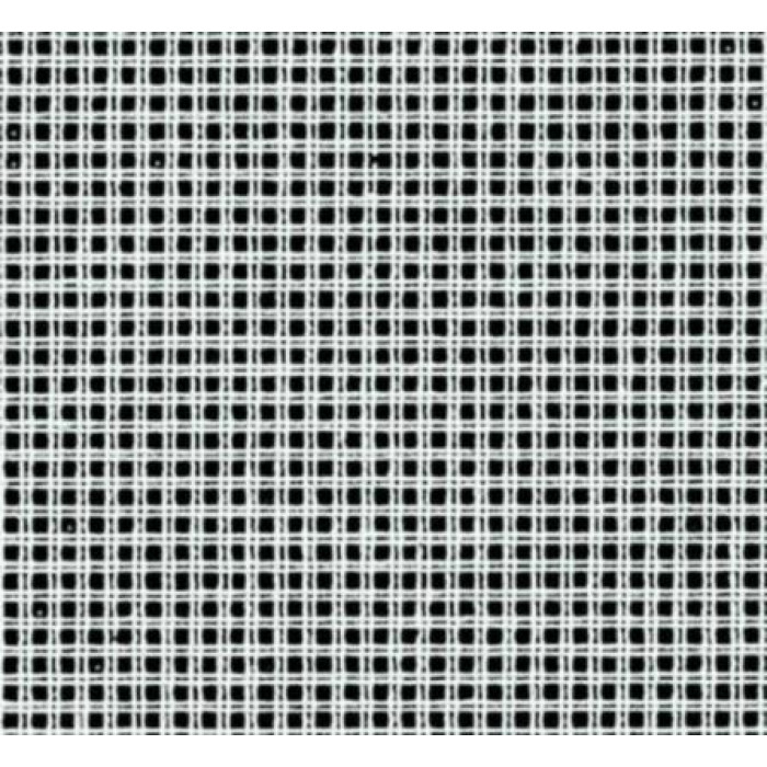 500/60 Канва Stramin Tapestry 15 Zweigart, чорно-білий, ширина - 60 см, 100% бавовна