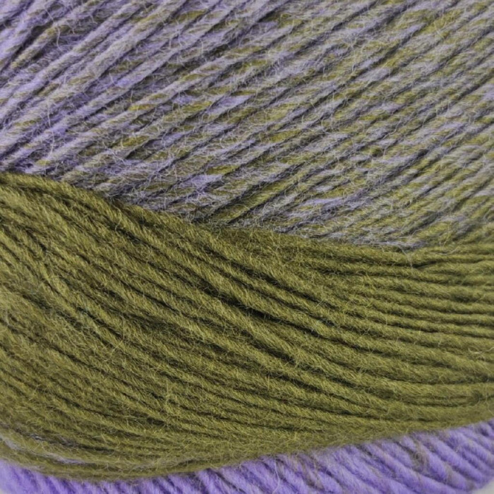 609 Пряжа Laines du Nord Poema, 150г - 600м, різнокольоровий, 100% вовна