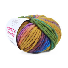 6(2025) Пряжа Laines du Nord Young Trendy, 80г - 100м, різнокольоровий, 100% вовна
