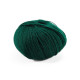 621 Пряжа Campolmi Filati Baby, 50г - 200м, темно-зелений, 100% меринос