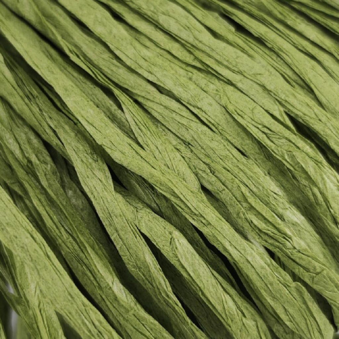 66 Рафія Adriafil Rafia Filato, 50г - 100-150м, болотний, 100% рослинна целюлоза