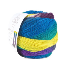 7 Пряжа Laines du Nord Harmonious Sock, 100г - 420м, різнокольоровий, 75% вовна, 25% нейлон