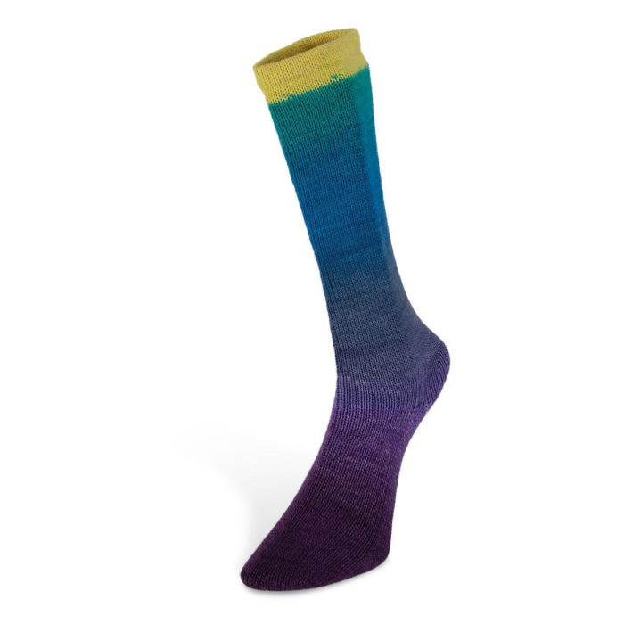 7 Пряжа Laines du Nord Harmonious Sock, 100г - 420м, різнокольоровий, 75% вовна, 25% нейлон