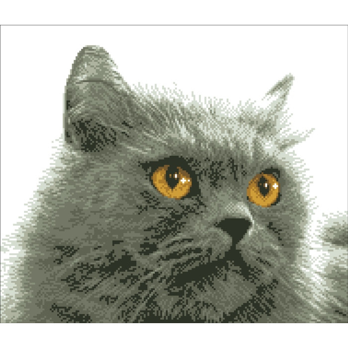 790 Сірий кіт. Світ можливостей. Канва з нанесеним малюнком