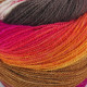 8 Пряжа Laines du Nord Harmonious Sock, 100г - 420м, різнокольоровий, 75% вовна, 25% нейлон
