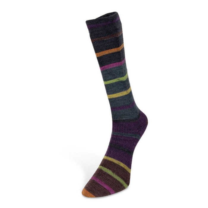 8 Пряжа Laines du Nord Indulgence Sock, 100г - 420м, різнокольоровий, 75% вовна, 25% нейлон