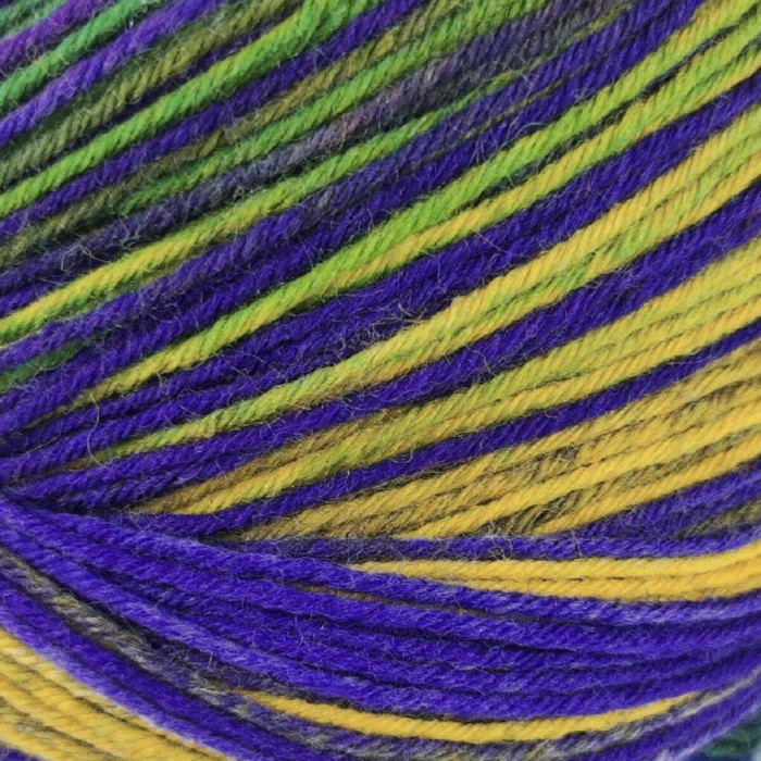 8 Пряжа шкарпеткова Laines du Nord Paint Sock 6 PLY,150г - 400м, різнокольоровий, 75% вовна, 25% нейлон