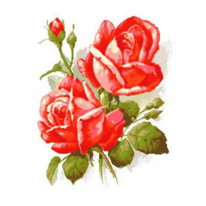 869 Червоні троянди. Світ Можливостей. Канва з нанесеним малюнком