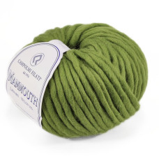 917 Пряжа Campolmi Filati Mammouth, 200г - 60м, світло-зелений, 80% вовна, 20 нейлон