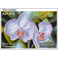 A3+ 072 Біла орхідея. Кольорова. Схема на тканині для вишивання бісером