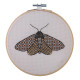 ABW0002 Anchor Набір для вишивки рахунковим хрестиком - Блекворк: Метелик Blackwork: Moth 13x13 см, Aida 14