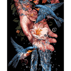 AH1204-17 Strateg Картина за номерами - Сині птахи 40x50 см (на чорному фоні, Стратег)