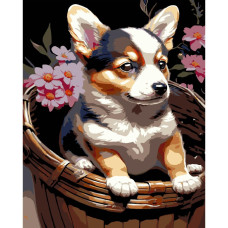 AH1220-19 Strateg Картина за номерами - Цуценя у кошику 40x50 см (на чорному фоні, Стратег)