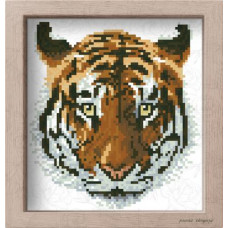 АМ 3527 Бенгальський тигр. Повна Скриня. Канва з нанесеним малюнком