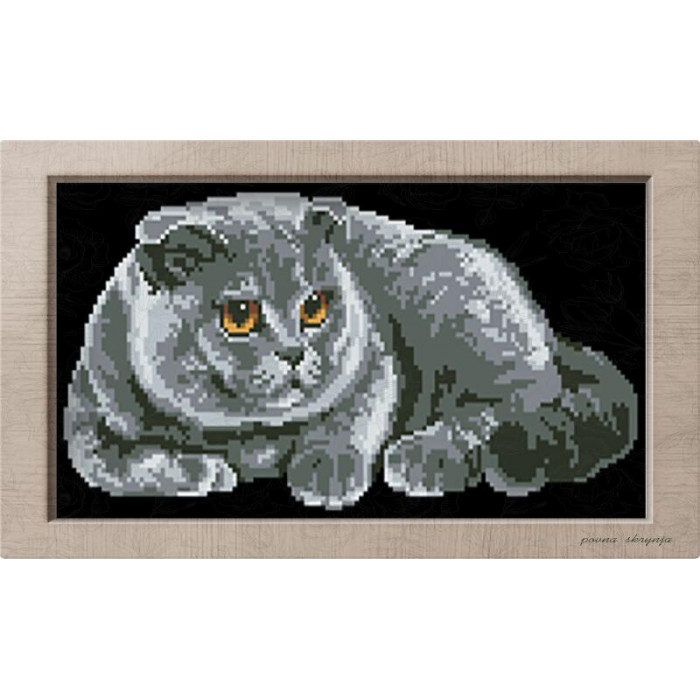 АМ 5551 Сірий кіт. Повна Скриня. Канва з нанесеним малюнком
