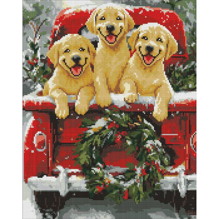 AMO20006 Ideyka Алмазна мозаїка - Собача поїздка 40х50 см (круглі, на підрамнику, АМО-20006) ©art_selena_ua