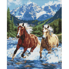 AMO20010 Ideyka Алмазна мозаїка - Сила у русі 40х50 см (круглі, на підрамнику, АМО-20010) ©art_selena_ua