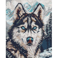 AMO20041 Ideyka Алмазна мозаїка - Очі півночі 40х50 см (круглі, на підрамнику, АМО-20041) ©art_selena_ua