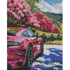 AMO20113 Ideyka Алмазна мозаїка - Рух у кольор 40x50 см (круглі, на підрамнику, AMO20113) ©art_selena_ua