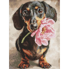 AMO20219 Ideyka Алмазна мозаїка - Песик і сюрприз 30х40 см (круглі, на підрамнику, AMO20219) ©art_selena_ua