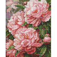 AMO20271 Ideyka Алмазна мозаїка - Рожеве натхнення 40х50 (круглі, на підрамнику, AMO20271) ©art_selena_ua