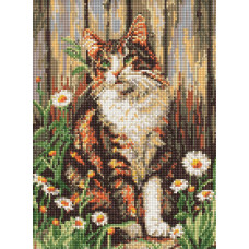 AMO20351 Ideyka Алмазна мозаїка - Погляд милого кота, 30x40 см (круглі, на підрамнику AMO20351) ©art_selena_ua