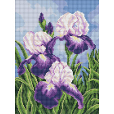 AMO20470 Ideyka Алмазна мозаїка - Іриси просто неба, 30x40 см (круглі, на підрамнику AMO20470) ©art_selena_ua