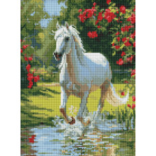 AMO20478 Ideyka Алмазна мозаїка - Мандрівка через луки, 30x40 см (круглі, на підрамнику AMO20478) ©art_selena_ua