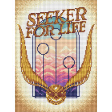 AMO20494 Ideyka Алмазна мозаїка - Harry Potter: Шукач життя, 30x40 см (круглі, на підрамнику AMO20494) ©Warner Bros