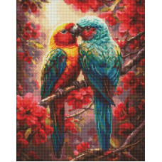 AMO20524 Ideyka Алмазна мозаїка - Пара барвистих папужок, 40x50 см (круглі, на підрамнику AMO20524) ©art_selena_ua