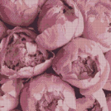 AMO7016 Ideyka Алмазна мозаїка - Весняні емоції, 40x40 см (круглі, на підрамнику, в обкладинці, AMO7016)