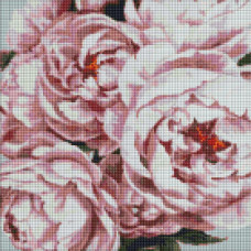 AMO7101 Ideyka Алмазна мозаїка - Витончені півонії, 40x40 см (круглі, на підрамнику, в обкладинці, AMO7101)