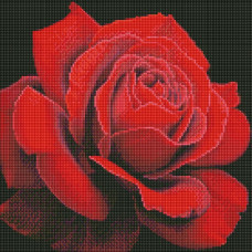 AMO7634 Червона троянда ©annasteshka. Ideyka. Набір алмазної мозаїки на підрамнику (круглі, повна) (Ідейка АМО7634)