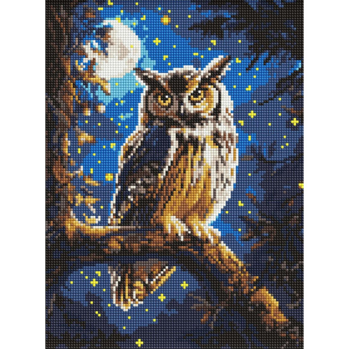 AMO8160 Ideyka Алмазна мозаїка з АВ стразами - Нічна сова, 30x40 см (круглі, на підрамнику, АМО-8160) ©art_selena_ua