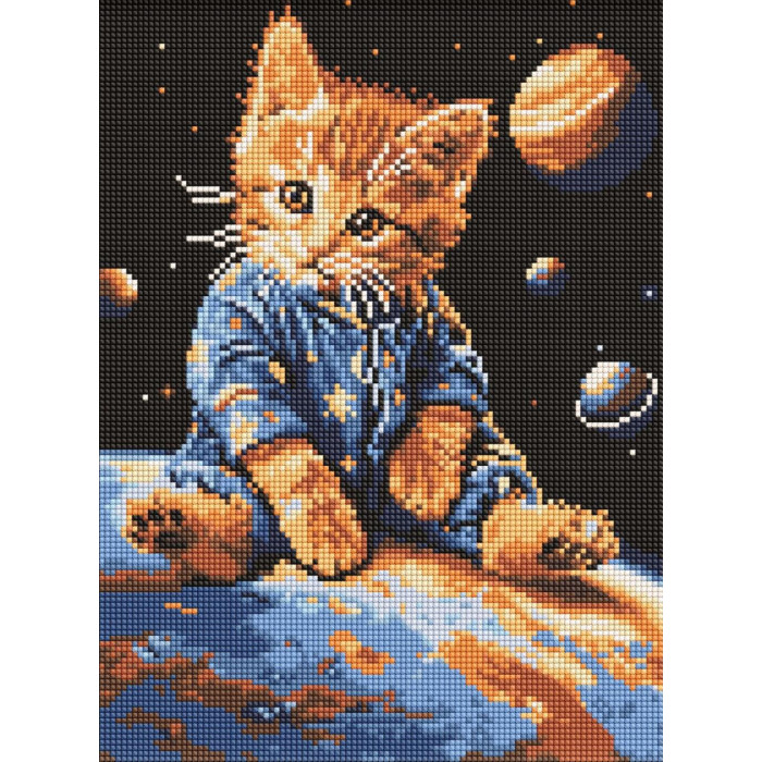 AMO8167 Ideyka Алмазна мозаїка - Зоряний котик, 30x40 см (круглі, на підрамнику, АМО-8167) ©art_selena_ua