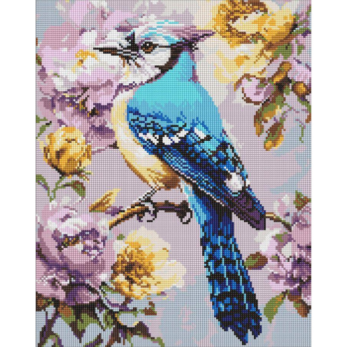 AMO8294 Ideyka Алмазна мозаїка - Сойка в півоніях 40х50 см (круглі, на підрамнику, АМО-8294) ©art_selena_ua