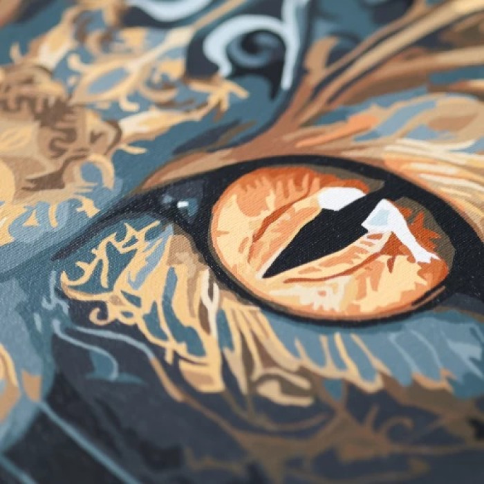 APN-003 Абрис Арт Картина за номерами - Погляд чаклунки, 40x50 см