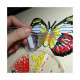 БАТ28 Papilio laglaizei, 13х11,5 см. Магніт. ArtSolo. Набір алмазного живопису