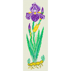 BS06 Чарівниця Набір для вишивки друкованим хрестиком - Синій півник, гербарій 14x42 см (схема на канві)