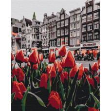 BS34169 Тюльпани Амстердама. Brushme. Картина за номерами
